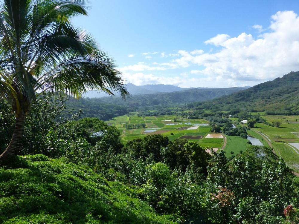 Kauai Hanalei Hawaii Farm Land Countryside Kauai Hanalei Hawaii Farm Land Countryside
