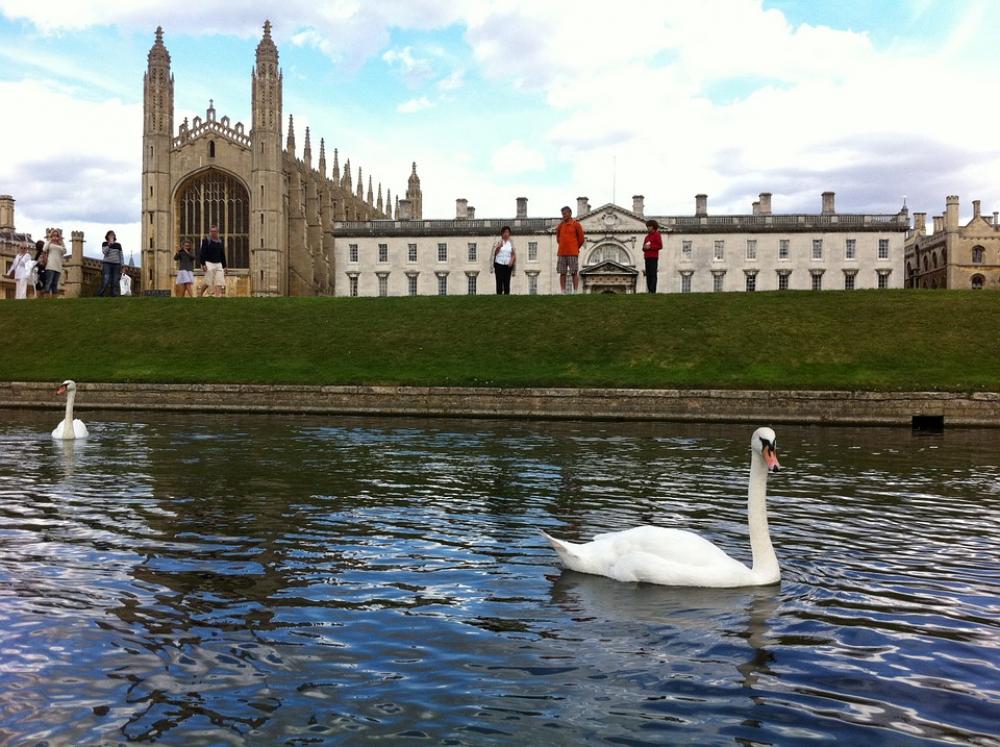 King'S College Cambridge Uk Swan Building England King'S College Cambridge Uk Swan Building England