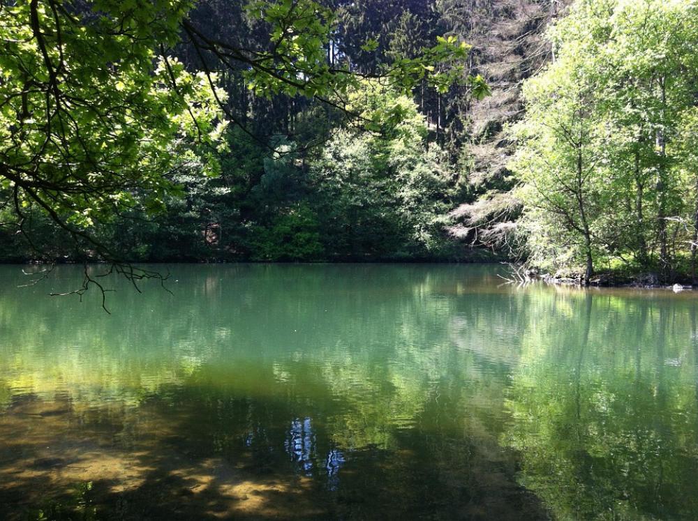 Lake Water Green Lake Water Green