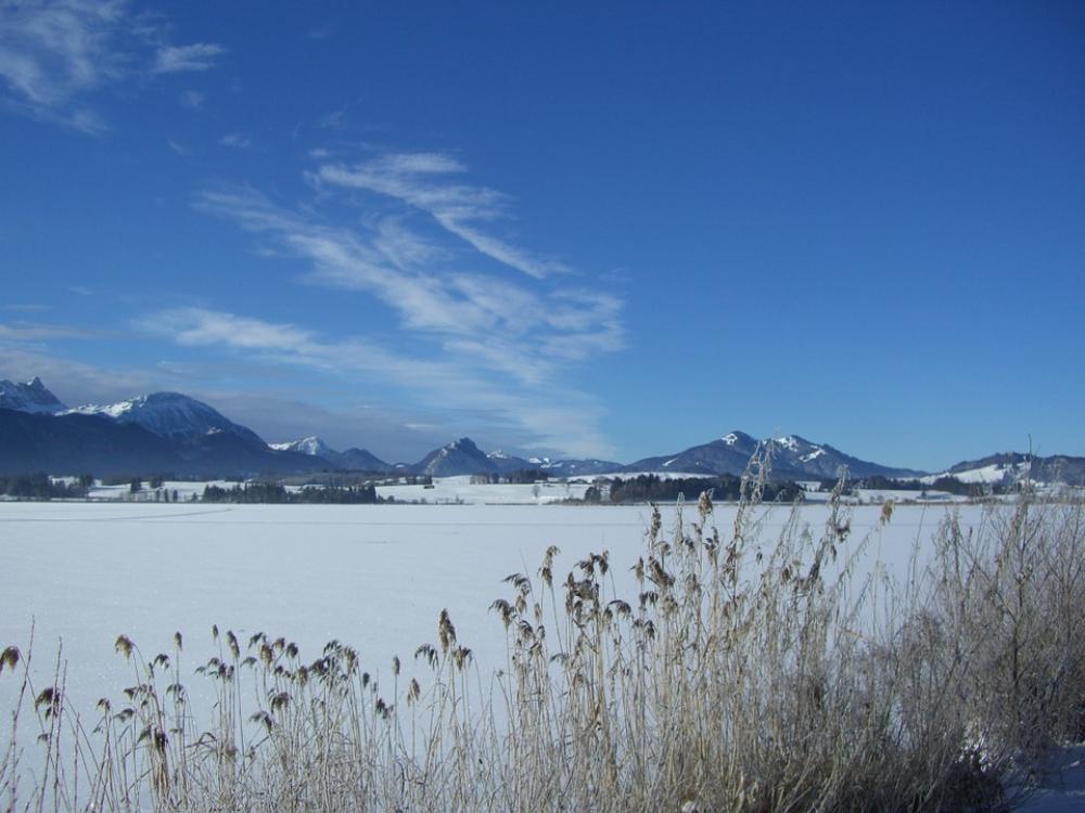 Lake Winter Ice Reed Mountain Panorama Frozen Sky Lake Winter Ice Reed Mountain Panorama Frozen Sky
