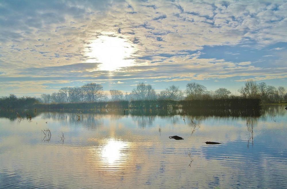 Lake Winter Countryside Country Landscape Lake Winter Countryside Country Landscape