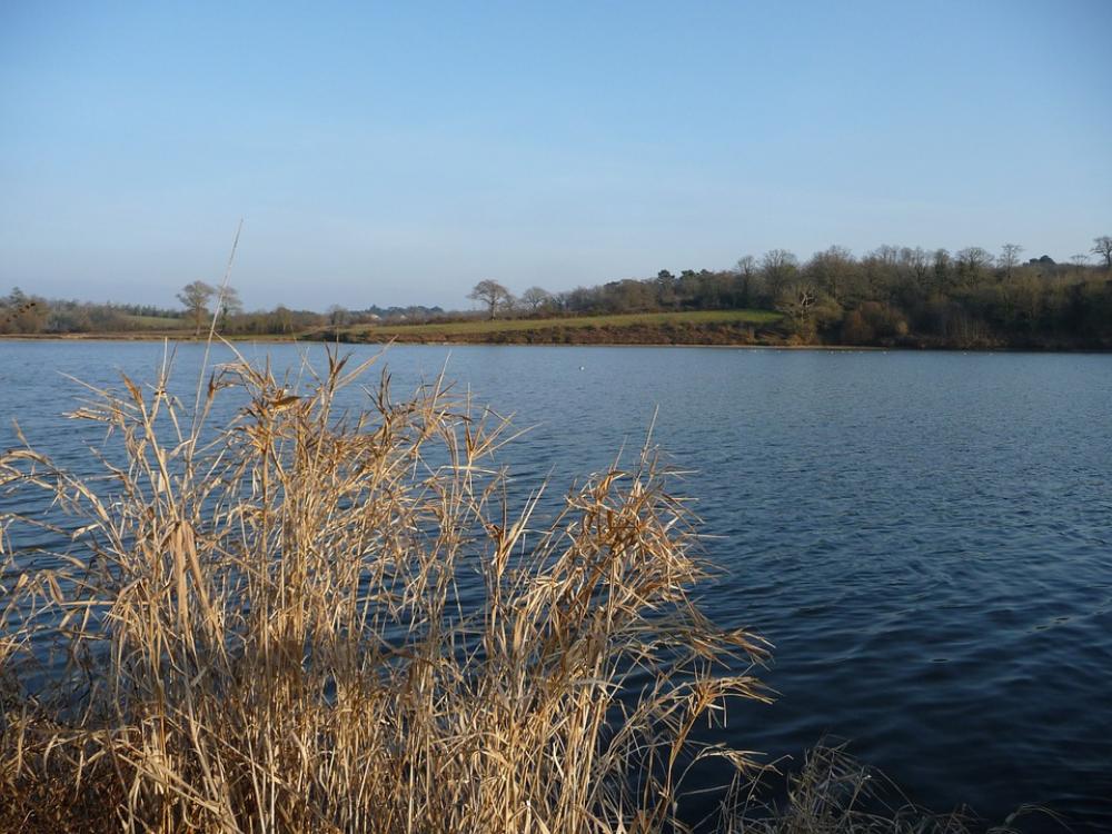 Lake The Jaunay Lake Landscape Nature Lake The Jaunay Lake Landscape Nature