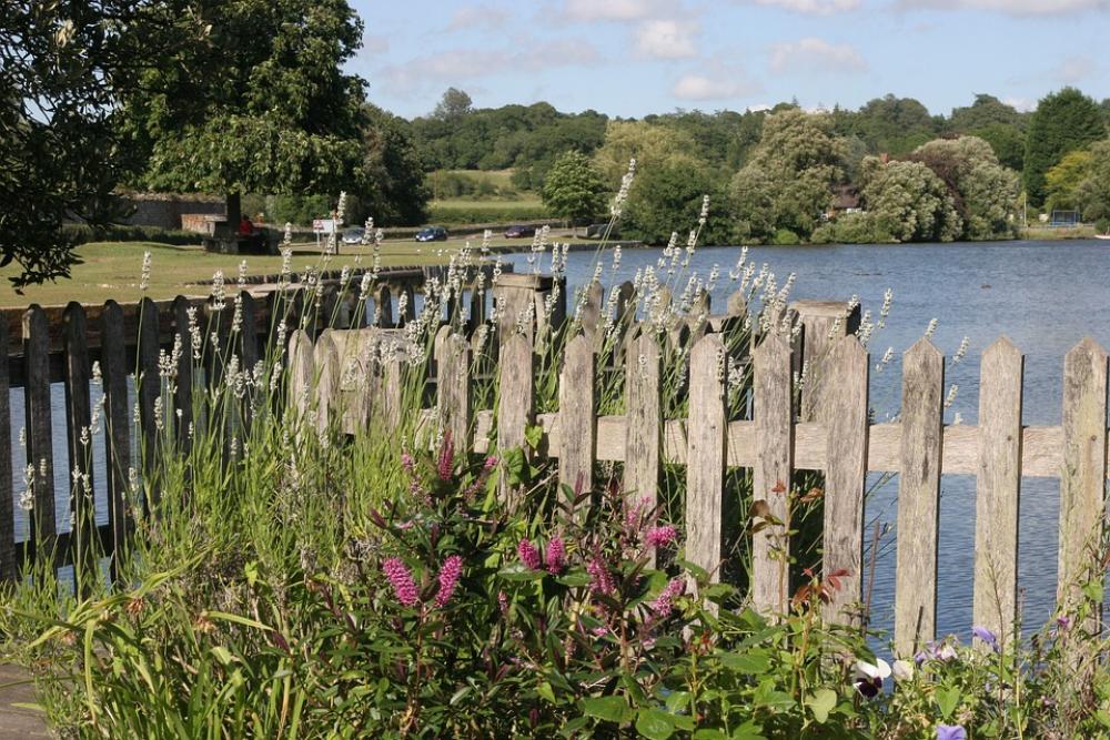 Lake New Forest Park Waters England Water Lake New Forest Park Waters England Water