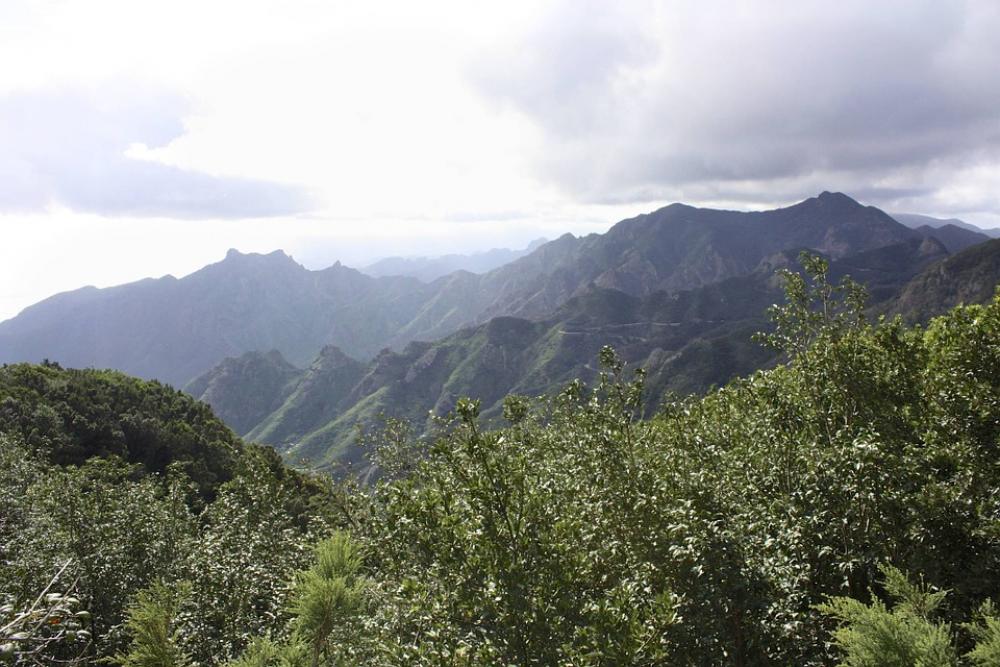 Landscape Tenerife Plant Nature Mountains Landscape Tenerife Plant Nature Mountains