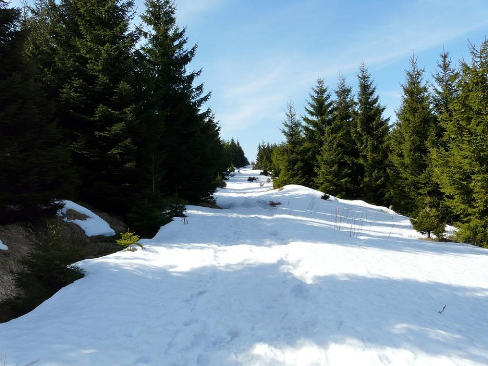Landscape Snow Brokken Resin Wintry White Firs Landscape Snow Brokken Resin Wintry White Firs