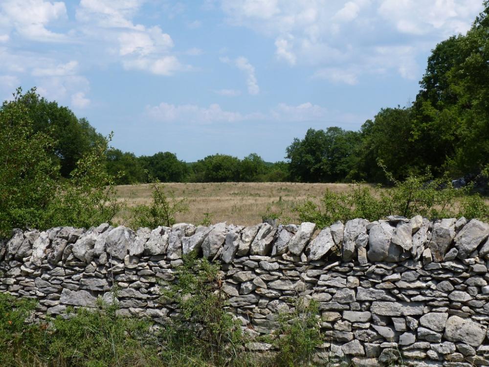 Landscape Lot Wall Muret Dry Stone Spring Field Landscape Lot Wall Muret Dry Stone Spring Field