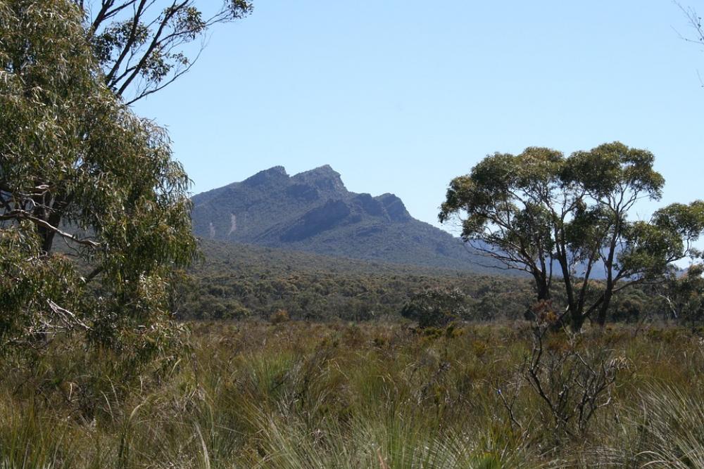 Landscape Grampians National Park Nature Plant Landscape Grampians National Park Nature Plant