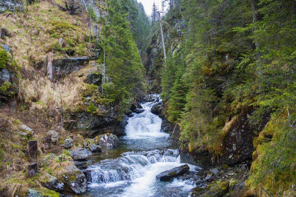 Landscape Environment Nature Trees Forest River Landscape Environment Nature Trees Forest River