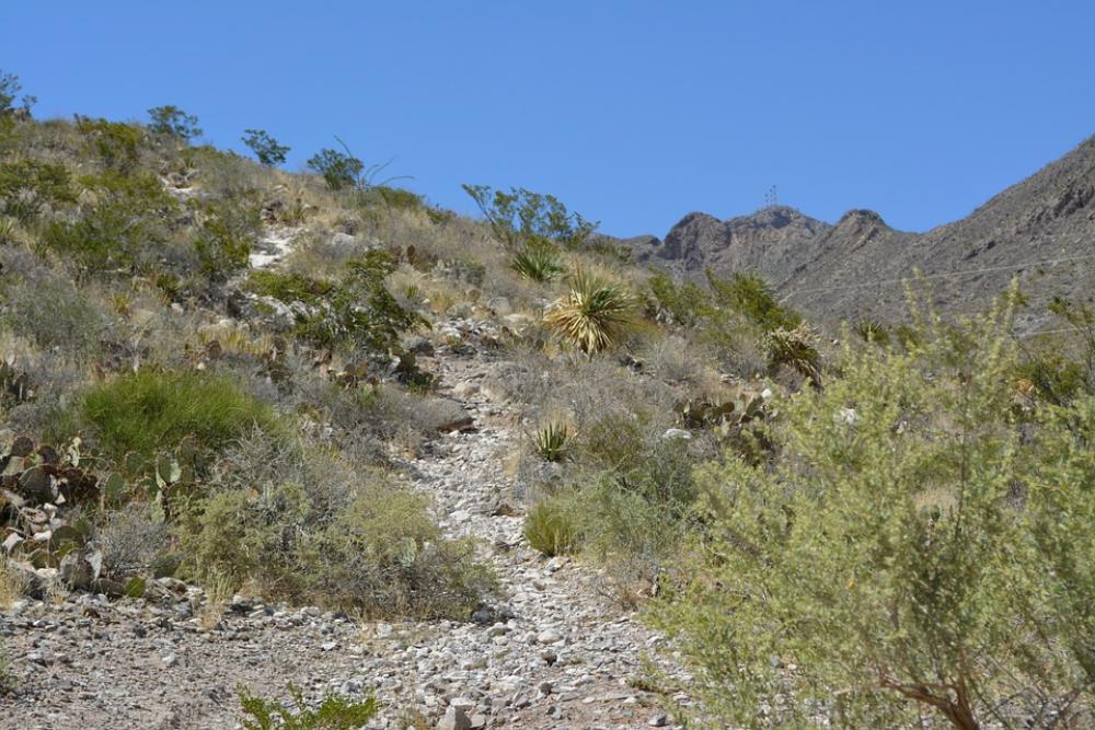 Landscape Desert Mountain Usa Scenery Nature Landscape Desert Mountain Usa Scenery Nature