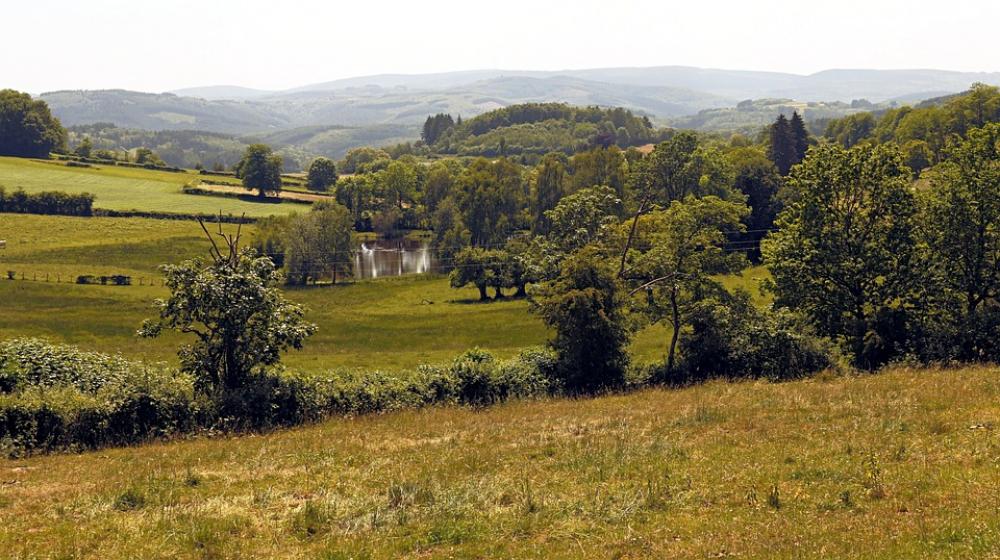 Landscape Trees Field Nature Green Morvan Landscape Trees Field Nature Green Morvan