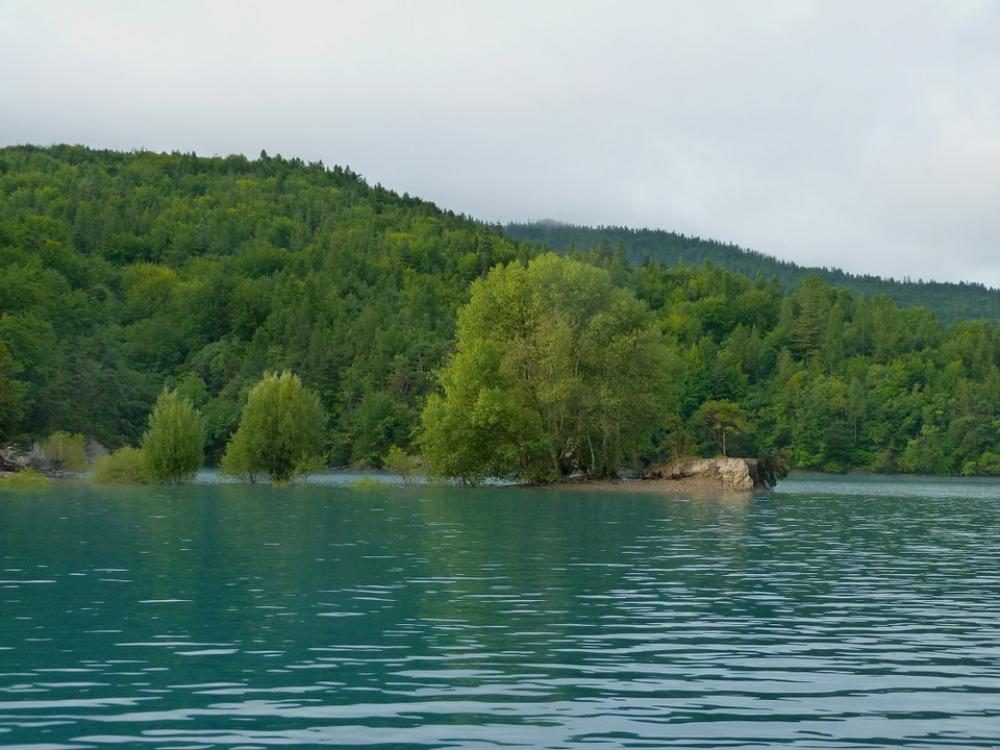 Landscape Nature Lake Trees Immersed Forest Water Landscape Nature Lake Trees Immersed Forest Water