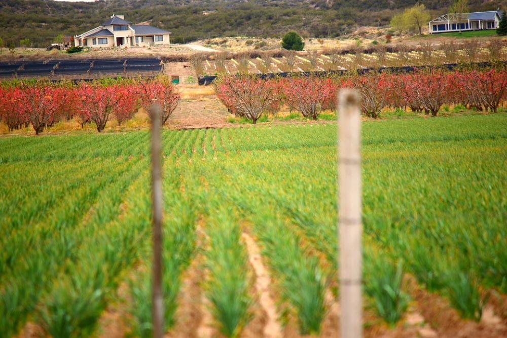 Landscape Plantation Field Agriculture Earth Landscape Plantation Field Agriculture Earth