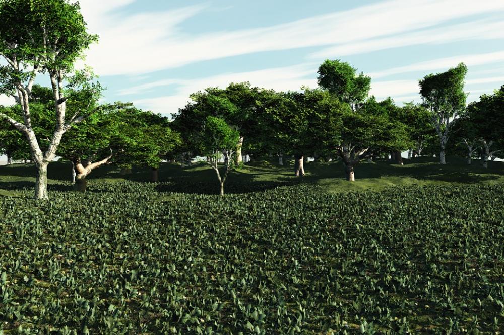 Landscape Nature Hill Meadow Grass Scenery Forest Landscape Nature Hill Meadow Grass Scenery Forest