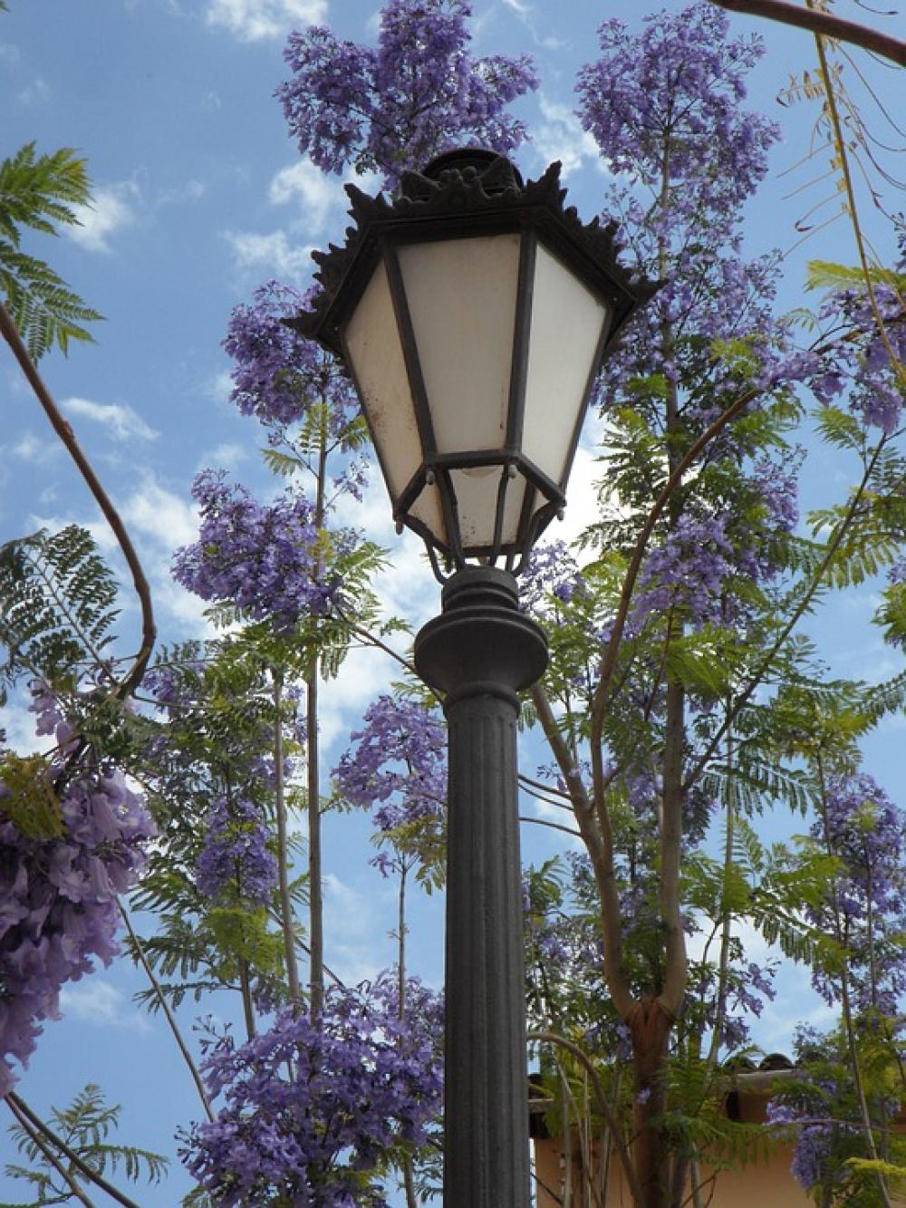 Lantern Jacaranda Mediterranean South Blossom Lamp Lantern Jacaranda Mediterranean South Blossom Lamp