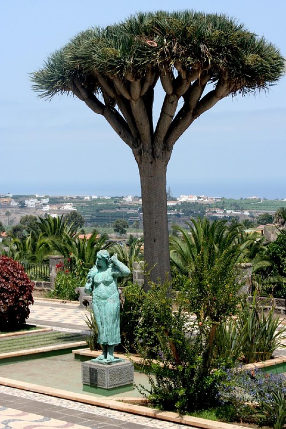 Las Palmas Mediterranean Spain Statue Tree Las Palmas Mediterranean Spain Statue Tree