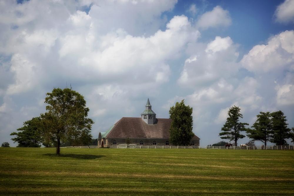 Lexington Kentucky Horse Farm Rural Stable Horses Lexington Kentucky Horse Farm Rural Stable Horses