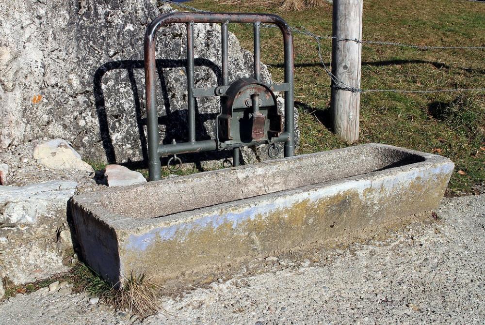 Livestock Watering Cow Calf Potions Alm Water Livestock Watering Cow Calf Potions Alm Water