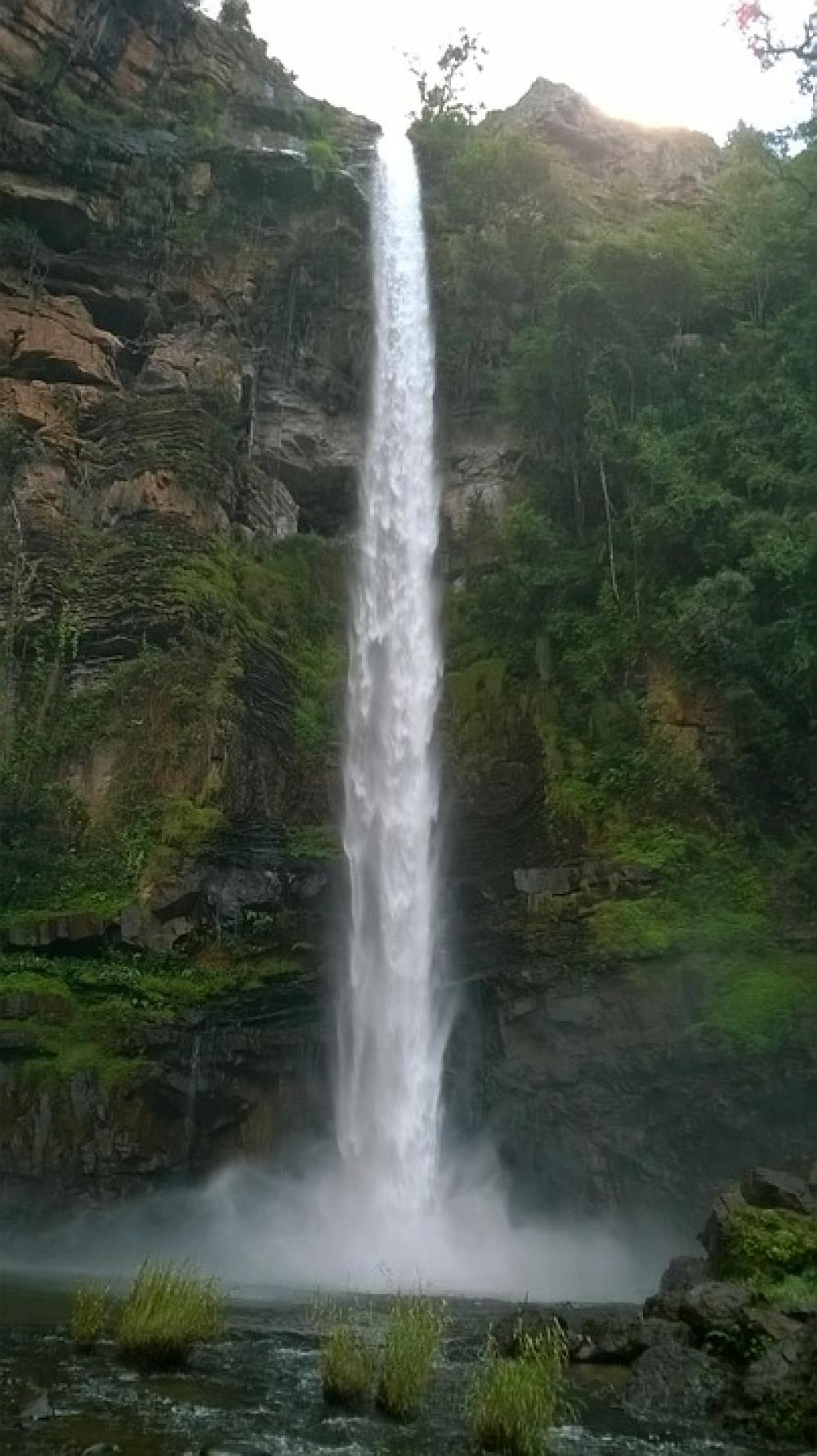 Lone Creek Waterfall Nature Water Green Beautiful Lone Creek Waterfall Nature Water Green Beautiful