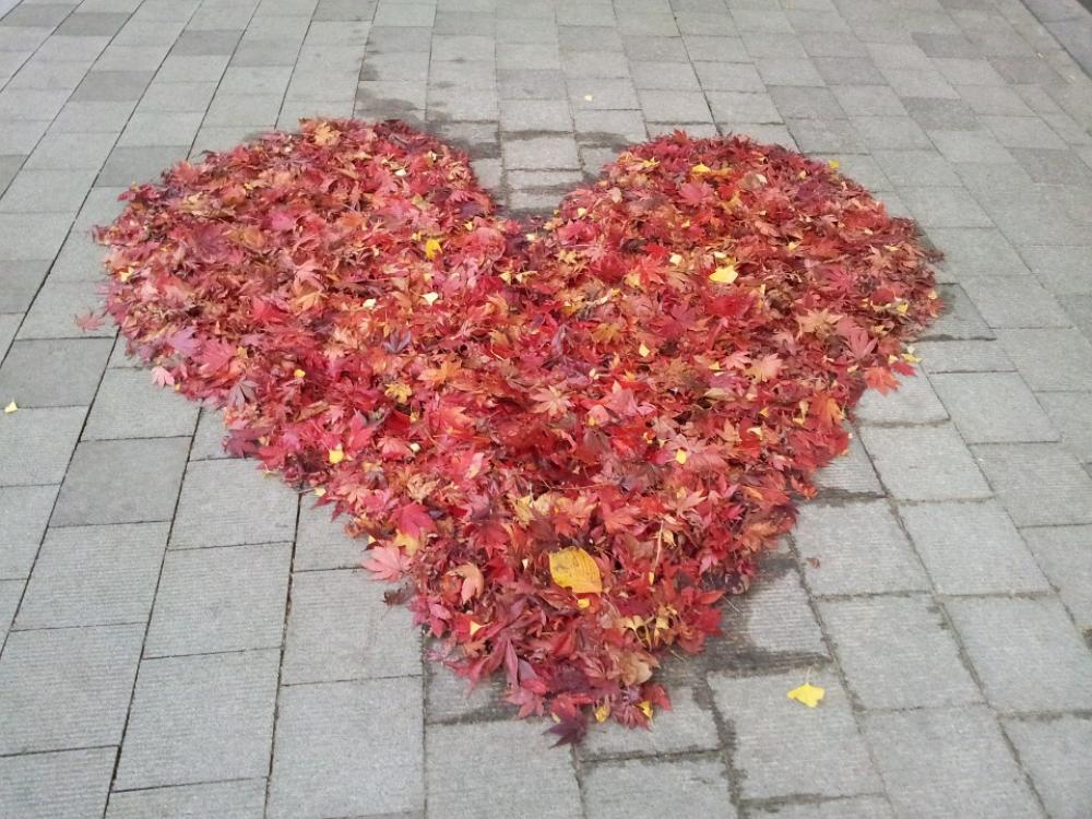 Love Autumn Leaves Trail This Star Love Autumn Leaves Trail This Star