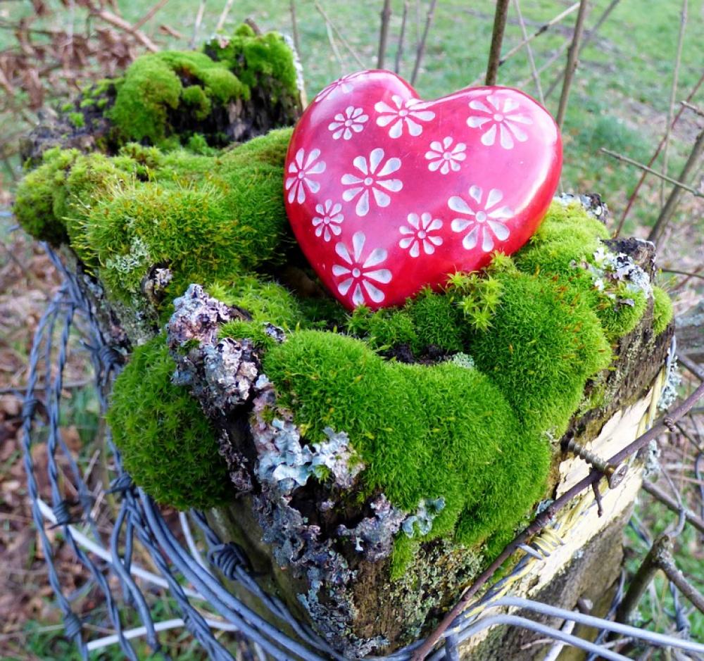 Love Heart Decoration Romantic Romance Love Heart Decoration Romantic Romance