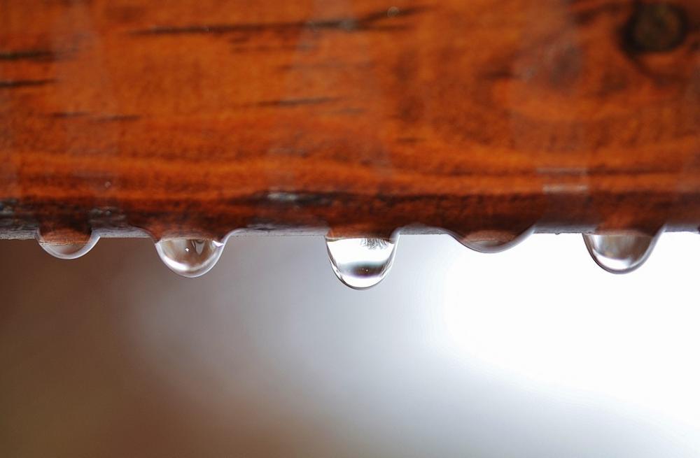 Macro Background Drop Water Drops Drop Of Water Macro Background Drop Water Drops Drop Of Water