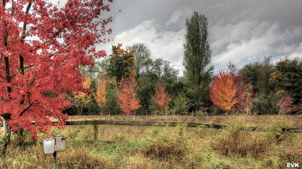 Mailbox Trees Clouds Nature Landscape Background Mailbox Trees Clouds Nature Landscape Background