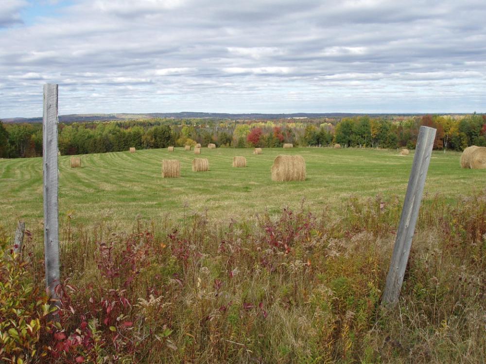 Maine Aroostook Houlton Field Autumn Fall Maine Aroostook Houlton Field Autumn Fall