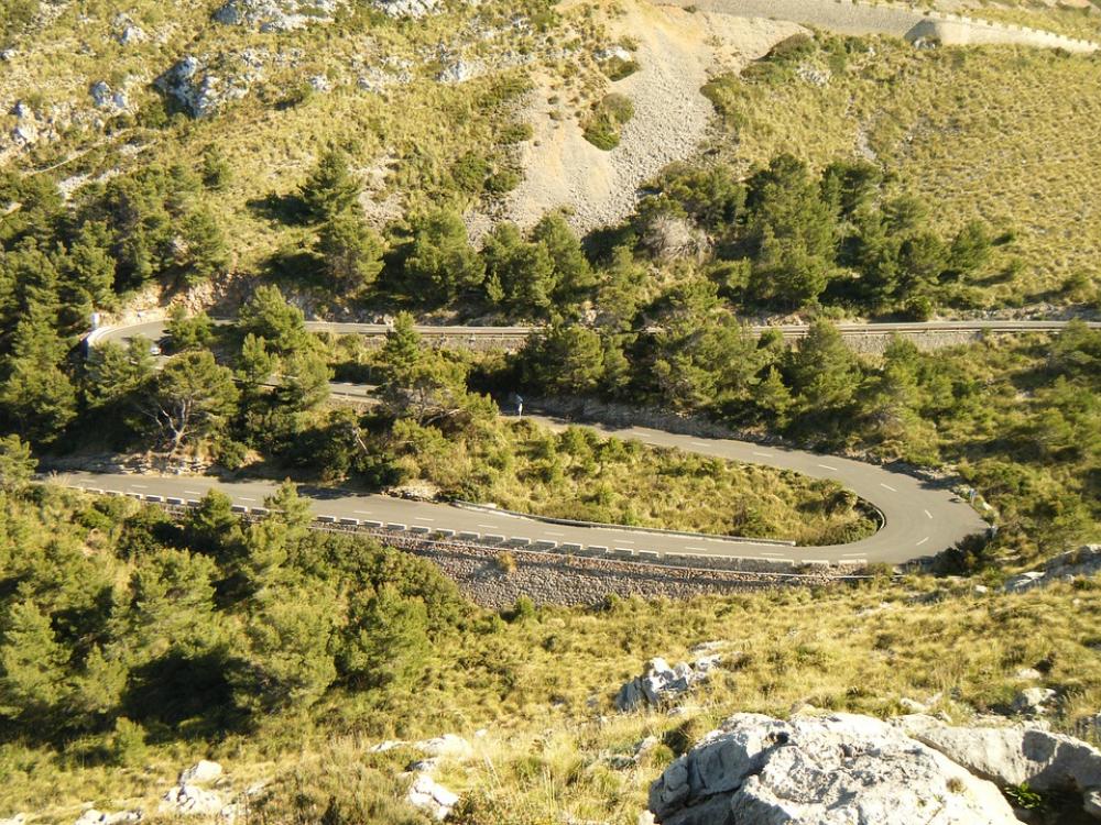Majorca Streamer Way Hill Mountain Tree Forest Majorca Streamer Way Hill Mountain Tree Forest