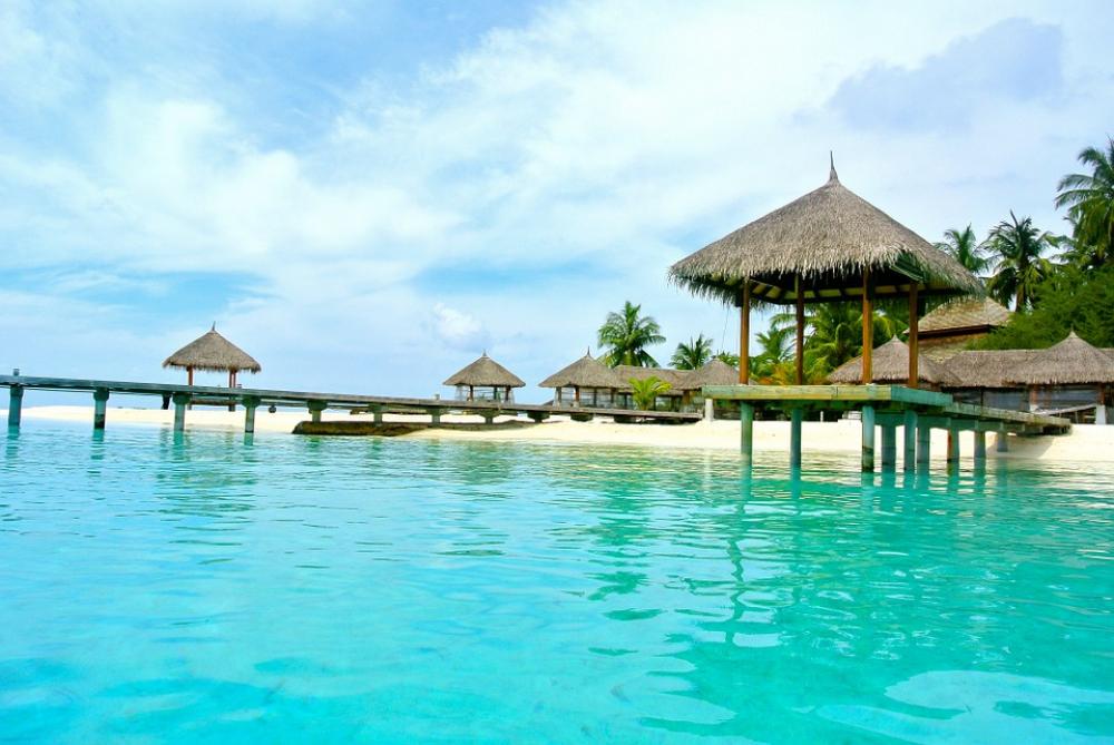 Maldives Coconut Tree Sea Resort Summer Holiday Maldives Coconut Tree Sea Resort Summer Holiday