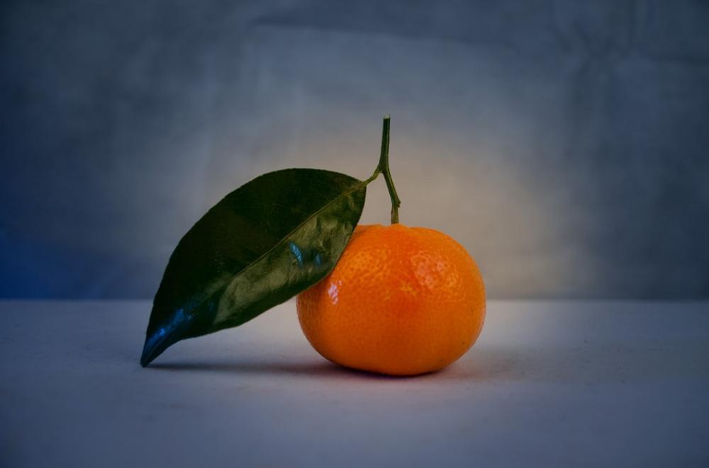 Mandarin Green Leaf Close-Up Isolated Tangerine Mandarin Green Leaf Close-Up Isolated Tangerine