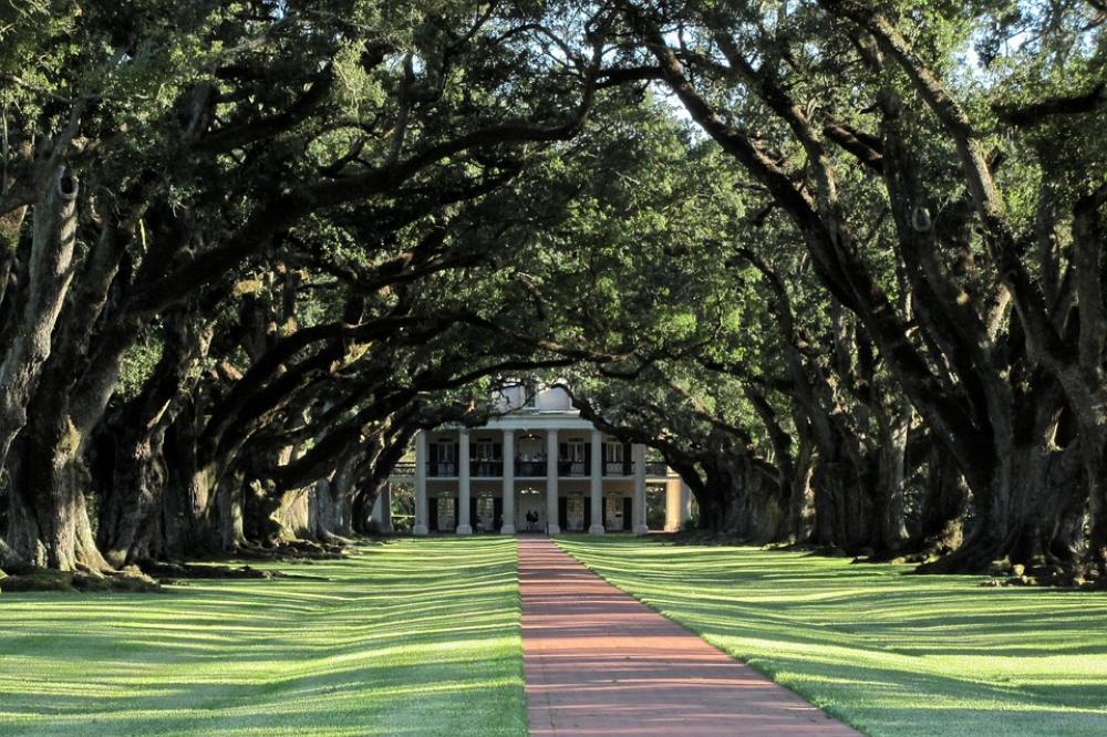 Mansion Alley Oaks Oak Trees Louisiana America Mansion Alley Oaks Oak Trees Louisiana America