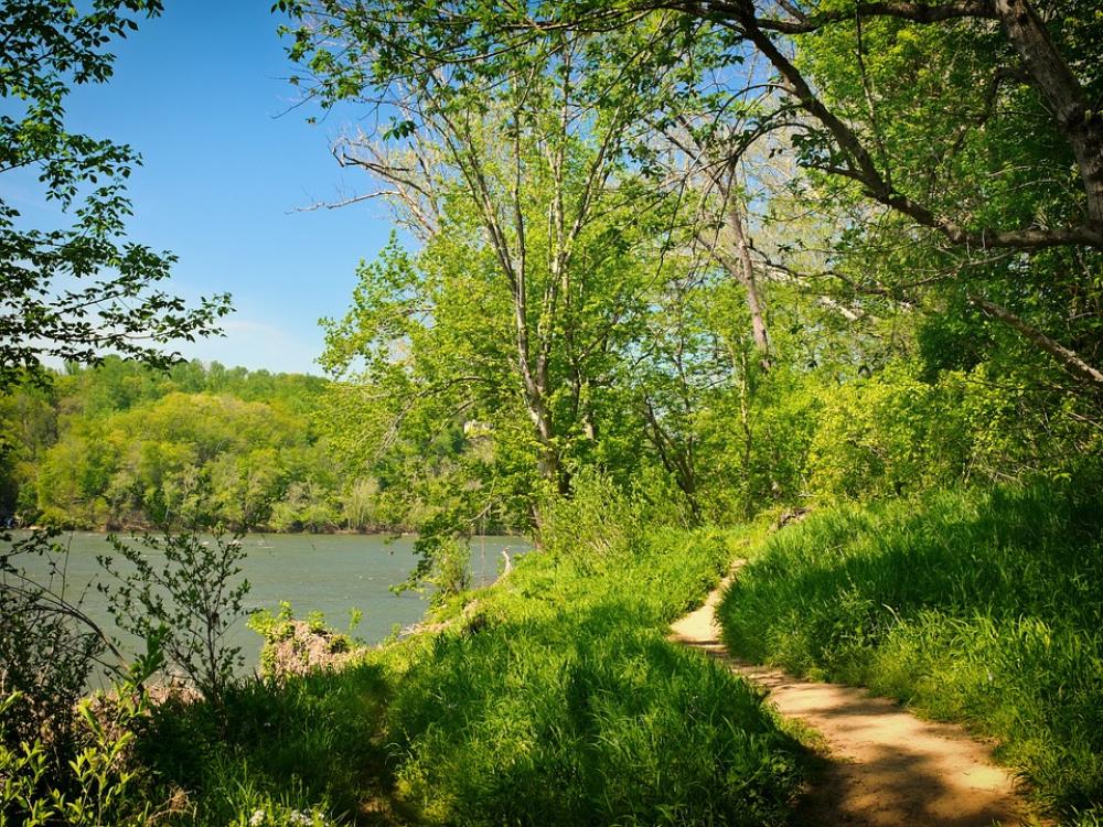 Maryland Trail Forest Trees Woods Path Lake Maryland Trail Forest Trees Woods Path Lake
