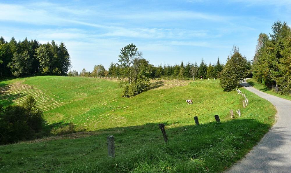 Meadow Way Cow Pasture Land The Fence Summer Sky Meadow Way Cow Pasture Land The Fence Summer Sky