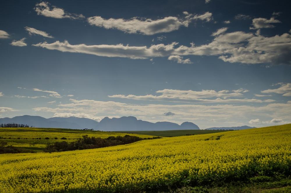 Meadows Pasture Grass Fields Sky Landscapes Meadows Pasture Grass Fields Sky Landscapes