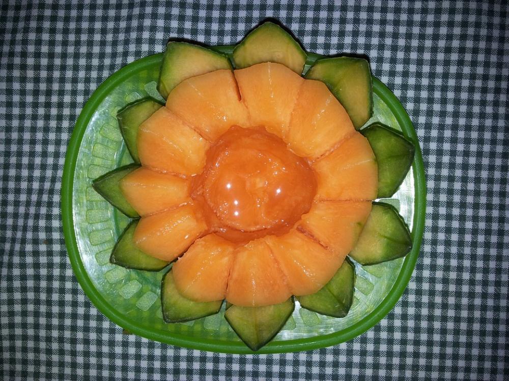 Melon Fruit Fruit Flower Melon Fruit Fruit Flower
