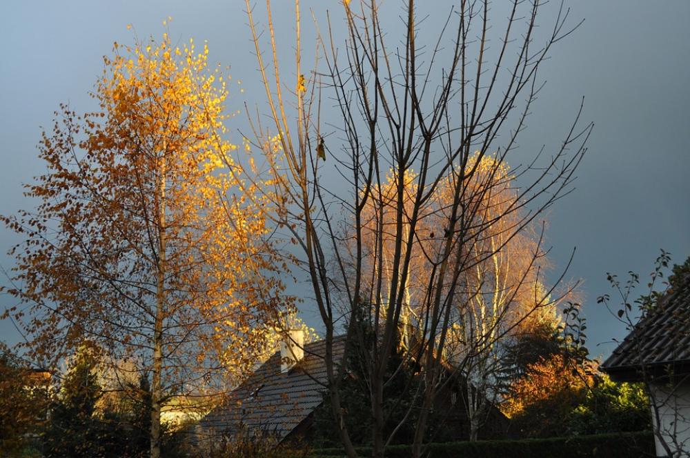 Mood Sky Autumn Nature Atmosphere Sunbeam Bright Mood Sky Autumn Nature Atmosphere Sunbeam Bright