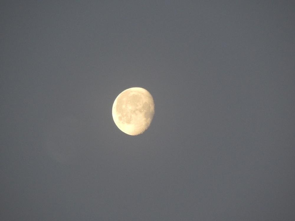Moon Morning West View Sky Moon Morning West View Sky