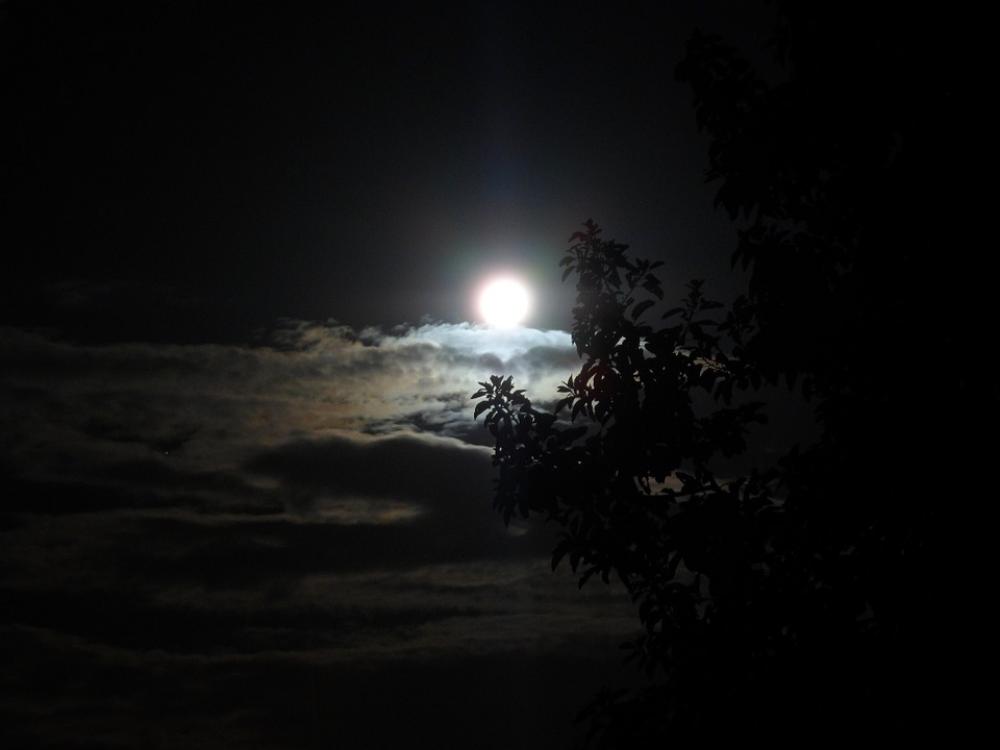 Moon Brightness Night Dark Moon Brightness Night Dark