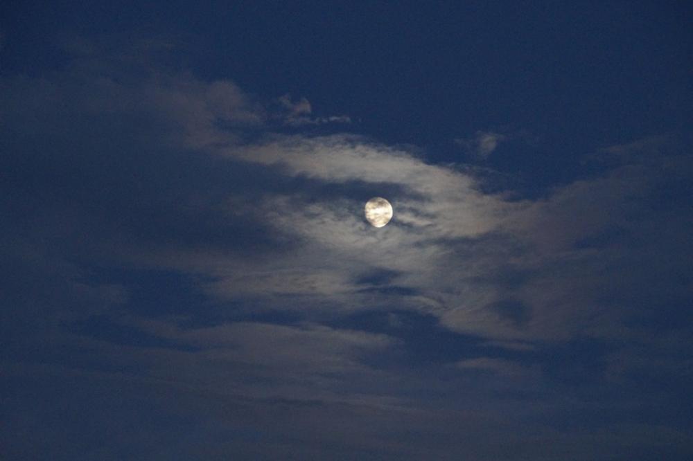 Moon Full Moon Moonlight Night Sky Evening Moon Full Moon Moonlight Night Sky Evening