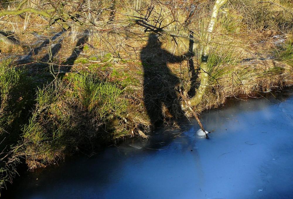 Moor Lake Pond Waters Water Shadow Human Light Moor Lake Pond Waters Water Shadow Human Light