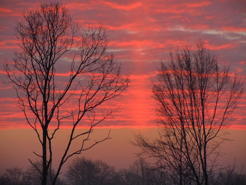 Morgenrot Clouds Bright Red Trees Silhouette Morgenrot Clouds Bright Red Trees Silhouette