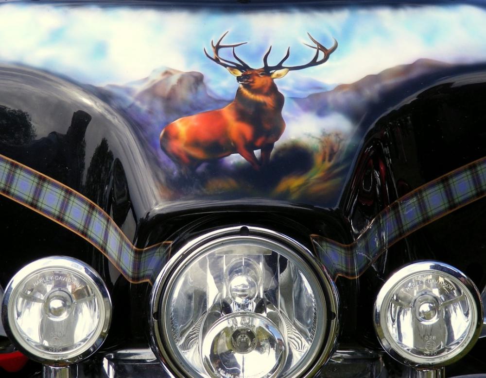 Motorbike Transport Lamps Lights Stag Motif Motorbike Transport Lamps Lights Stag Motif
