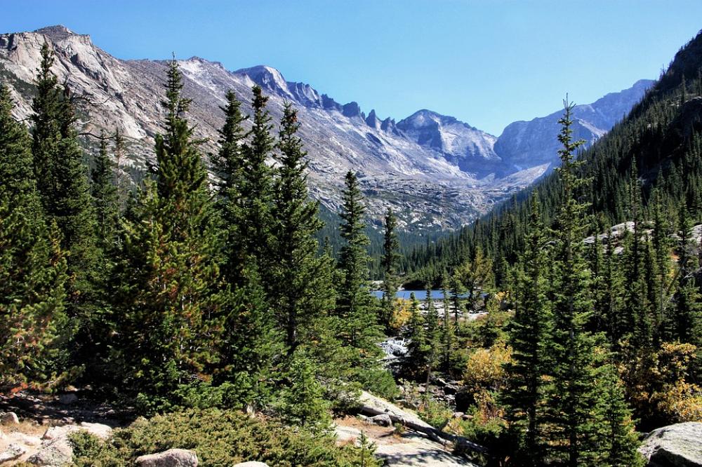 Mountains Forest Trees Outdoor Beautiful Mountains Forest Trees Outdoor Beautiful