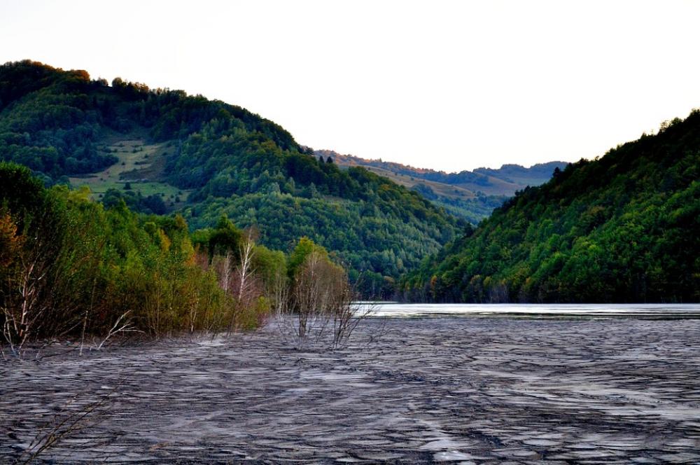 Mud Swamp Lake Nature Water Ecology Dirt Natural Mud Swamp Lake Nature Water Ecology Dirt Natural