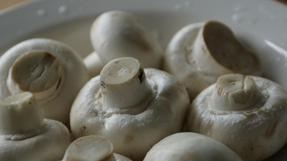 Mushroom Vegetable Cooking Raw Cuisine Fungi Mushroom Vegetable Cooking Raw Cuisine Fungi