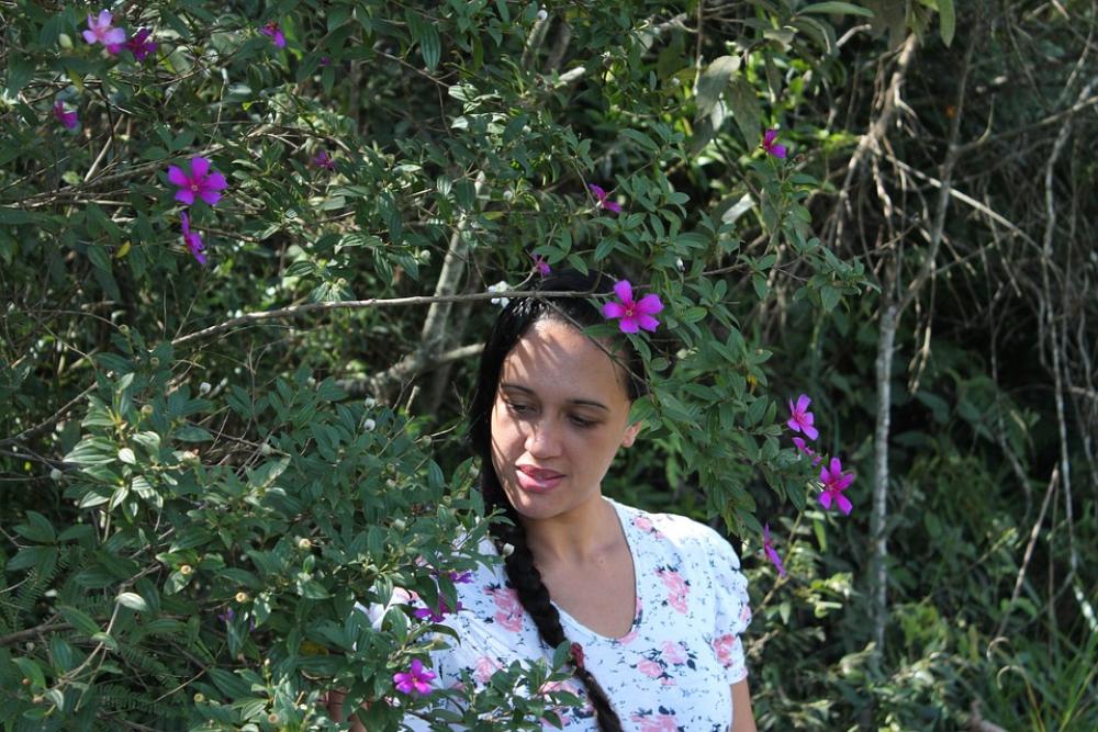 Nature Flowers Beauty Nature Flowers Beauty