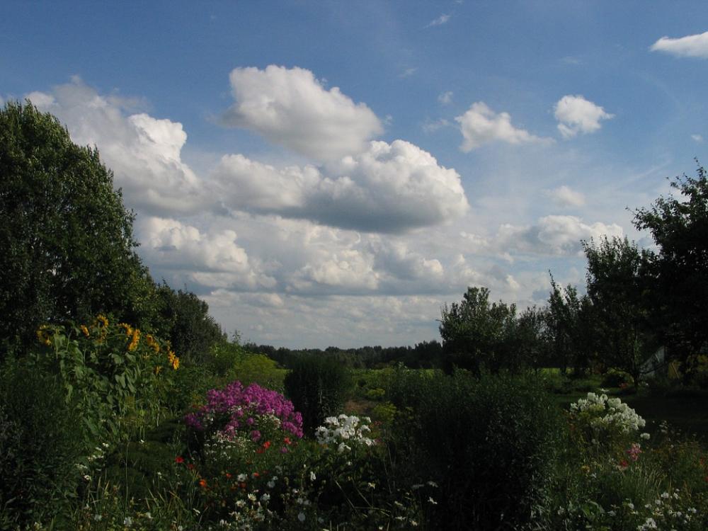 Nature Sky Summer Field Clouds Nature Sky Summer Field Clouds
