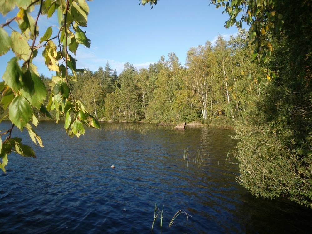 Nature On The Go Idyll Water Landscape Relaxation Nature On The Go Idyll Water Landscape Relaxation