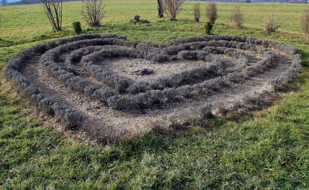 Nature Garden Heart Meadow Grass Symbol Love Nature Garden Heart Meadow Grass Symbol Love