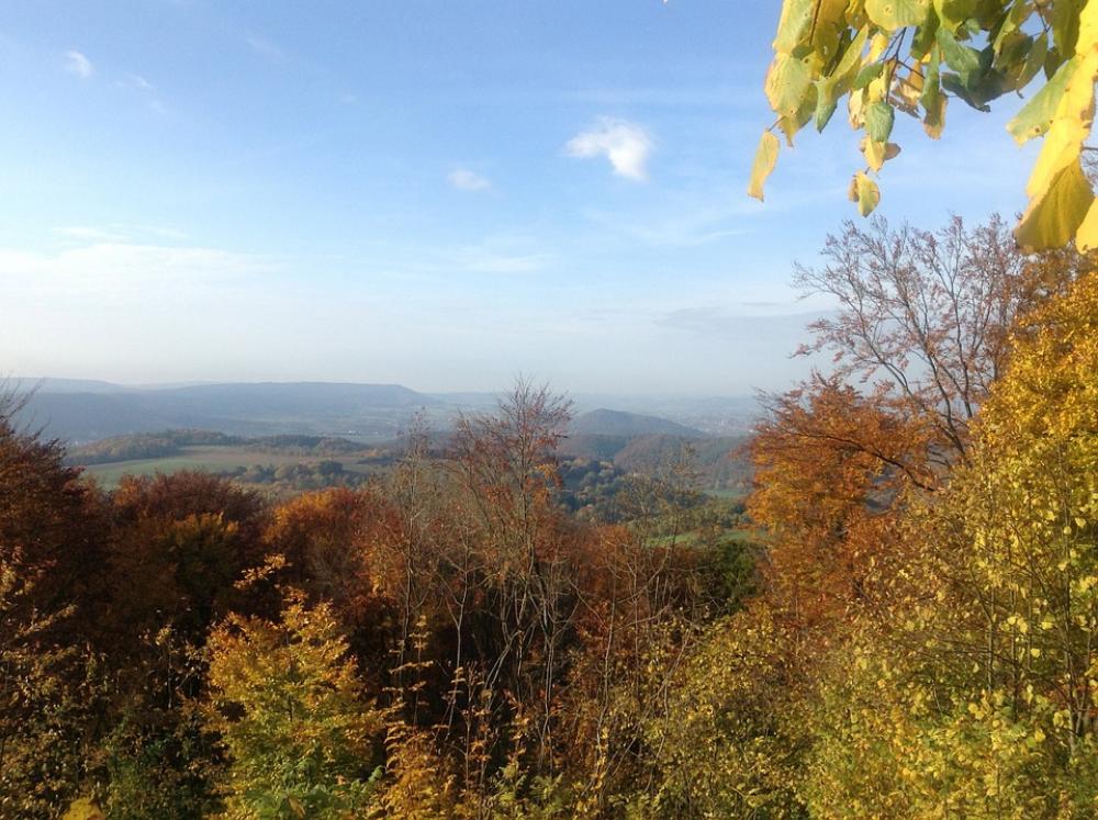 Nature Autumn Landscape Trees Colorful Nature Autumn Landscape Trees Colorful